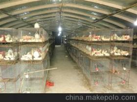 蚌埠怀远县新城区光大水泥制品厂——建筑脊梁·匠心传承